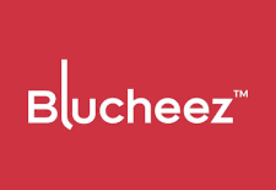 Blucheez Outfitters